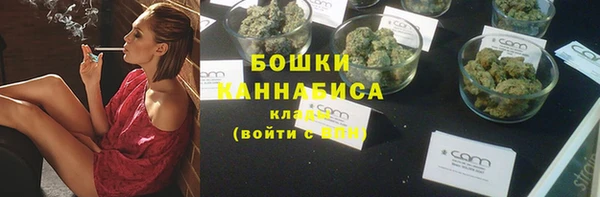 сатива Заволжье