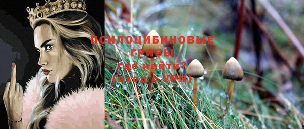 сатива Заволжье