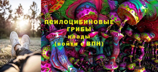 прущие крисы Новокубанск