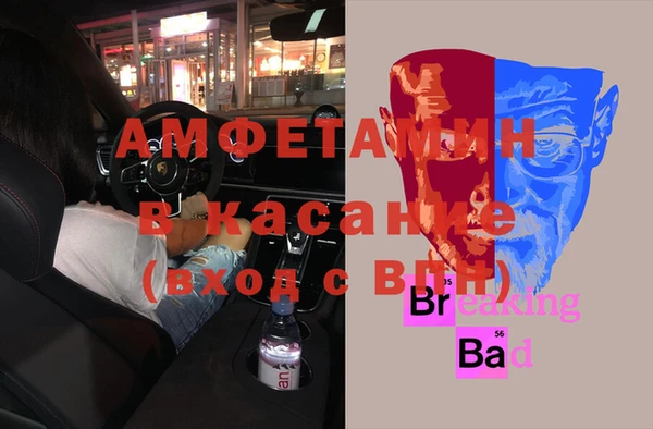 сатива Заволжье