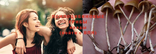 сатива Заволжье